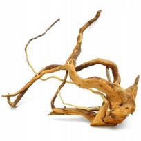 Red Moor wood šaknis L (0,5-0,8 kg)
