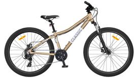 Dviratis 26  CLASSIC PRO 26 26  gold classic