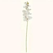 Dirbtinis gėlės stiebas Orchidėja