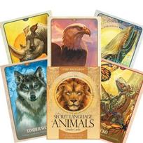 Taro kortos The Secret Language of Animals