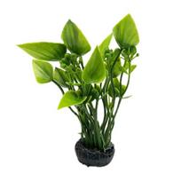 Akvariumo dekoracijų rinkinys su augalais