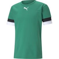Puma Futbolo Marškinėliai Vyrams TeamRise Jersey Green 704932 05