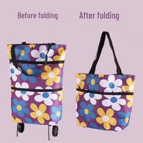 JNL Portable Folding Shopping Cart