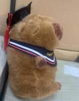 23cm Capybara Plush Toy With Doctoral Cap Cute Graduation Stuffed Animal Gift For Students