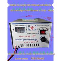Chiweng High-Power Electric Tricycle Lead-Acid Battery Charger