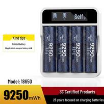 Delipow 18650 Rechargeable Lithium Battery & Smart Charger Kit CN plug (adapter included)