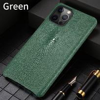 100% Originalus Dygliuotosios Žuvies Odos Dėklas Telefonui iPhone 17 Air 16 15 13 14 Pro Max 17Pro 16Pro 14Pro Pearl Fish Prabangus Galinis Dangtelis Genuine Leather&iPhone Air žalia