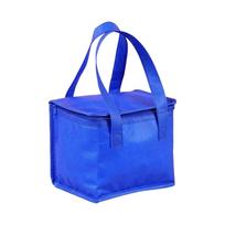 Portable Lunch Cooler Beer Delivery Bag Folding Insulation Picnic Ice Pack Food Tote Thermal Bag Drink Carrier Insulated Bags