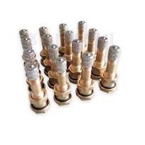 Luoshi EQ2050B Tire Valve Stem & Core