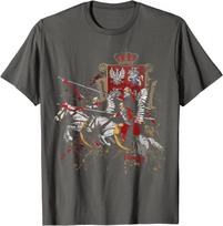 Polish Husaria History TShirt 100 Cotton ONeck Short Sleeve Summer Casual Mens Tshirt Size S3XL S