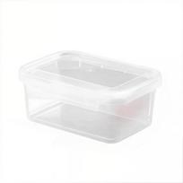 Portable Food-Grade Sealed Storage Box for Fresh Produce. Fresh Keeping Box