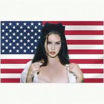 Lana Del Rey Flag  SingleSided Indoor Outdoor Decor Banner for Dorm Travel Event Holiday Guys Room Flat Print 74x94cm(29x37in) black