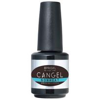 PREGEL Clear Gel 14g Non-Wipe (CanGel, Non-Heat) [Gel/Clear Gel/Nail Supplies]