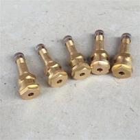 QINGAN EQ2050 Tire Valve Stem & Core
