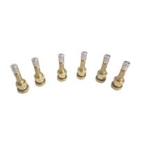 Dongfeng Mengshi EQ2050 Tire Valve Stem & Core