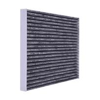 Pace Activated Carbon Cabin Air Filter for IM L6/LS6 (2024-2026 Models)