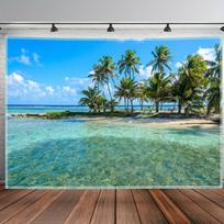 2D Cluster Palm Clear Shallow Reef Lagoon Beach Backdrop Tropical Wall Tapestry 47.2x31.5inch/120*80cm