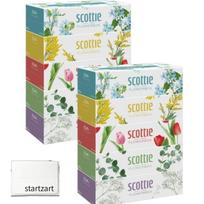 500 sheets 5 boxes x 2 bulk large flower Startzart includes pocket Long-lasting tissues, (250 pairs), packs, 10-box set, purchase, capacity, design,