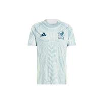 adidas Mexico 24 Away Fan Soccer Asia Sizing 'Linen Green' Men's IP6384 M