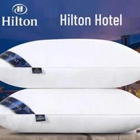 Išskirtinė Hilton viešbučio kaklo atramos pagalvė – didelio elastingumo, skirta WeChat pardavėjų reklamai ir grupės dovanoms. 48x74 Low Pillow balta