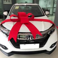 Naujo automobilio pristatymo ceremonija Didelis raudonas lankas