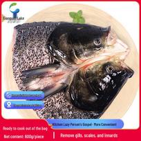 Xianquan Lake Silver Carp Fish Head