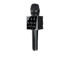 Hifier Wireless KTV Microphone & Speaker