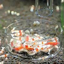 Transparent Fish Feeder Round Aquarium Food Dish For Fish Shrimp Feeding Bowl Durable Glass Aquarium Feeding Box Pet Supplies