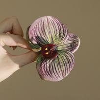 Bohemia Barrettes Flower Hair Claw Shark Clip Cute Hairpin Butterfly Orchid Hair Clip Ponytail Clip Korean Style Headwear