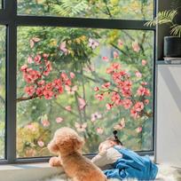 Static Cling with Peach Blossom Motif for Clear Glass PVC Construction Ensures Secure Hold Reusable Indoor Decoration Option China Mainland