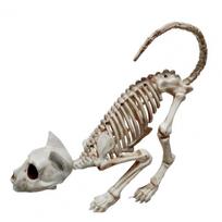 Helovino dekoracija Realistiški dinozaurai Atmosfera Plastikinis Siaubo katės skeletas Ornamentas Gyvūnų kaulai Baisus Namų vakarėliui smėlis