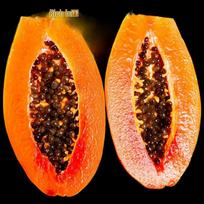 Hainan Red Heart Papaya Gift Box