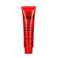 25g Papaya Lip Balm with Natural Plant Ingredients for Moisturizing and Nourishing Dry Lips