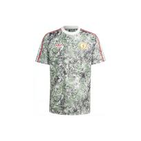 adidas Manchester United Stone Roses Originals Icon Azijos dydis 'Žalias' Vyriškas IM8270 M gray