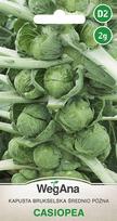 Casiopea cabbage Briuselio kopūstai 2g kopūstų sėklų - WegAna