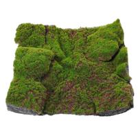 30x30cm Realistiškas Dirbtinės Samanos Kilimėlis Dirbtinė Žolė Sodo Dekoras Imitacija Žalia Samana Žolė Gyvas Plastikinė Žolė Imitacija Samanos 30.00X30.00X4.50CM žalia