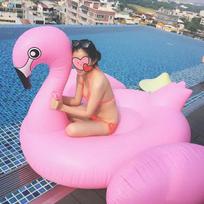 Vasaros baseino pripučiamas čiužinys flamingas Lauko vandens žaidimų sportas Pripučiamas gultas su rankena Plaukiojanti lova rožinė