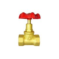 AMICO Brass Internal Thread Manual Valves DN20 (3/4 inch)
