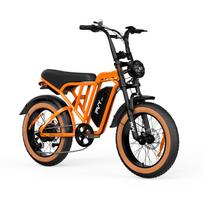PVY A20 All-Terrain Electric Bike with 48V 20Ah Removable Battery oranžinė