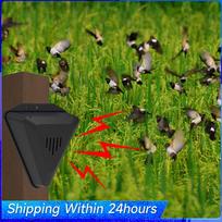Solar Bird Repeller with 13 Sound Solar Animal Repellent Animal Repeller Outdoor Crop Orchard Protection Animal Deterrents China Mainland green