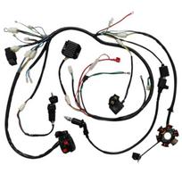 8in1 Go Kart Wiring Harness Loom Stator CDI Unit Regulator Kit with Electric Choke Carburetor for GY6 150cc ATV UTV Buggy Dune United States