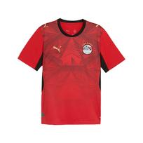 PUMA Egiptas 2026 namų marškinėliai 'PUMA Red Intense Red' Vyriški 783552-01 L