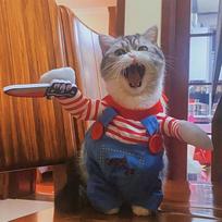 Juokingi katės drabužiai Helovino Cosplay kostiumai mažiems, vidutinio dydžio šunims, katėms Kūrybiški augintinių vakarėlių kačiukų kombinezonai Minkštas šiltas katės paltas XS（old）
