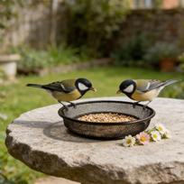Bird Feeder Tray Food Feeding Plate 17.516.33.3cm Rust-Resistant Metal Finch Feeders For Sparrow Lovebird Garden Park Courtyard China Mainland