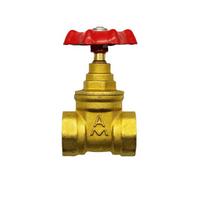 AMICO Brass Manual Stop Valve DN50 (2-inch)