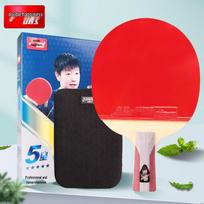 DHS 5-Star Table Tennis Racket H5006