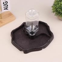 Reptile Feeder Automatic Refill Waterer Turtle Food Dish Small Pet Bowl For Reptiles And Amphibians Removable Pet Supplies tamsiai ruda spalva