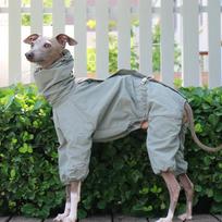 Outdoor Luxury Dog Coats Greyhound Whippet Summer Design Clothes Dogs Large Waterproof Adjustable Dogs Clothes Coat Pet Supplies (Green,S) žalia