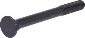 Kūginė galvutė varžtas M12x120 DIN608 548320N