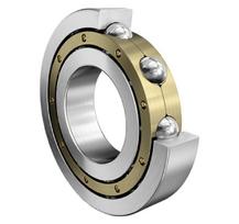 Giluminis rutulinis guolis 6220MC3